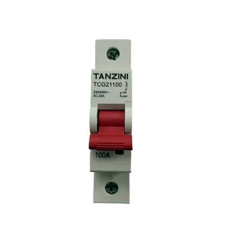Main Switch Tanzini 100 Amp 1P