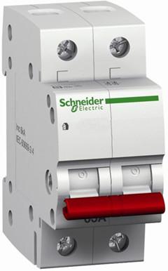 Main Switch Schneider 2P 63 Amp